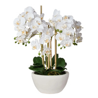 Rogue Artificial Phalaenopsis Orchid Pot Plant | White 62x58x71cm