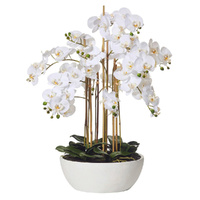 Rogue Artificial Butterfly Orchid Pot Plant White 80x83cm