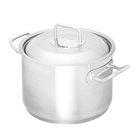 Scanpan Commercial Stainless Steel Dutch Oven with Lid 24cm / 5.5 L