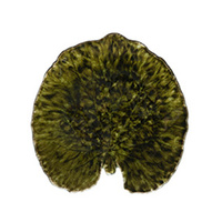 Costa Nova Riviera Forets Alchemille Leaf Plate 176 x 170mm