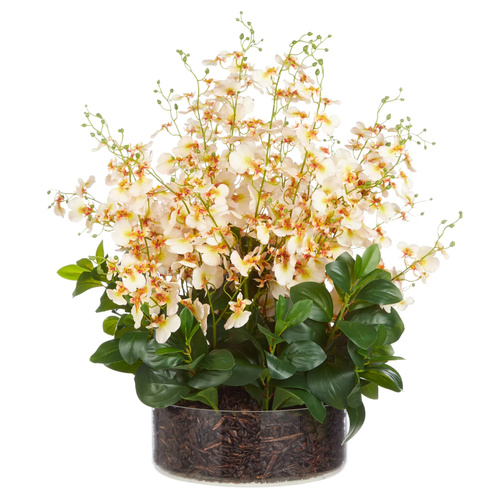 Rogue Dancing Orchid Garden Mix Madelyn Bowl Plant Cream 66x66x67cm
