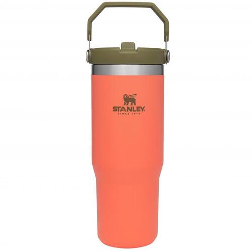 Stanley 30oz / 0.89L The IceFlow Flip Straw Tumbler | Guava