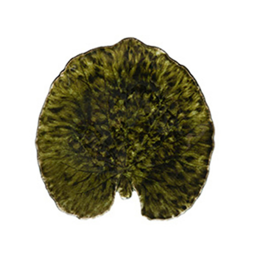 Costa Nova Riviera Forets Alchemille Leaf Plate 176 x 170mm